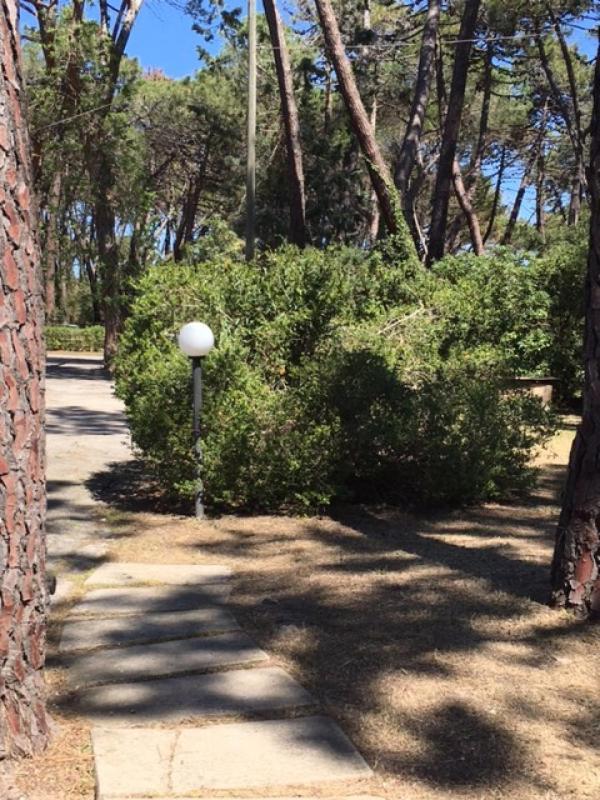 Maremmare Tuscany Apartments Principina a Mare Exterior photo